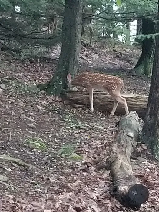 Ironwood Point Recreation Area 8