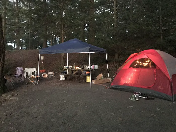 Ironwood Point Recreation Area 9