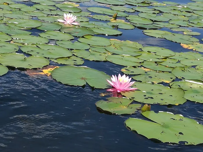 Lake Moc-A-Tek Campground 7
