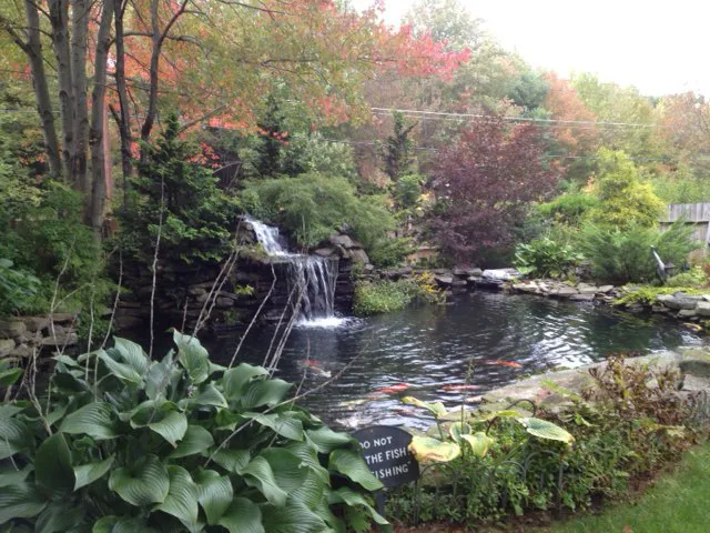 Three Pines Campground 1