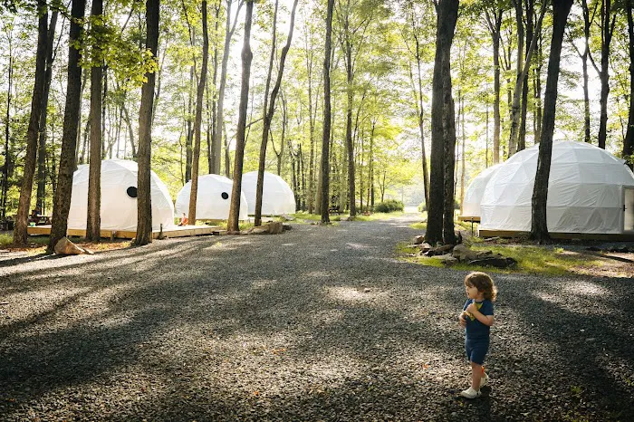 Ferncrest Promised Land 9