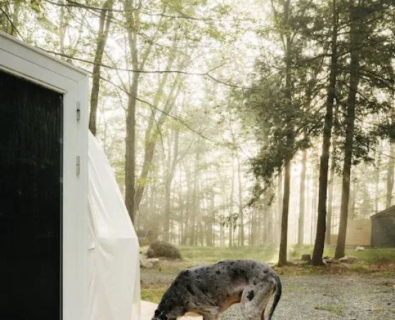 Ferncrest Promised Land