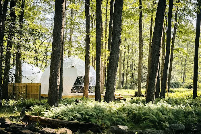 Ferncrest Promised Land 8