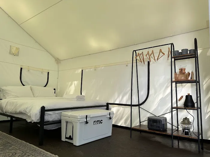 Ferncrest Promised Land 6