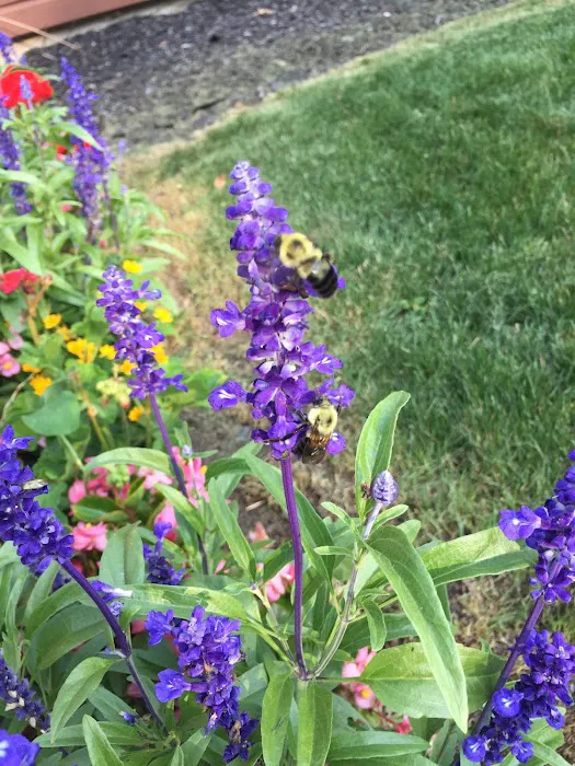 Ledgedale Recreation Area 6