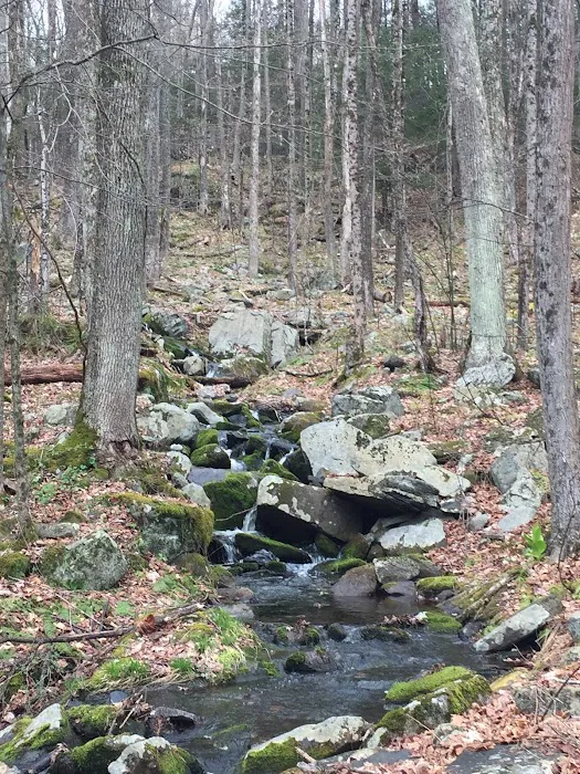 Ledgedale Recreation Area 3