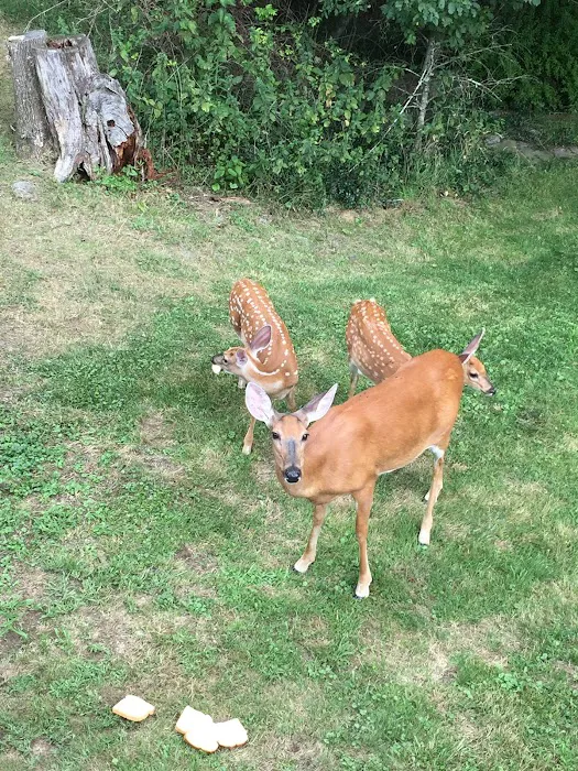 Ledgedale Recreation Area 2