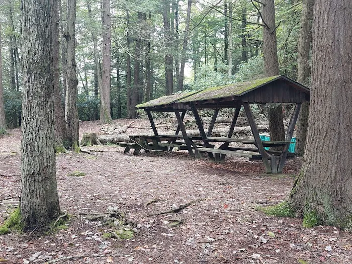 Five Mile Point Group Campground 1