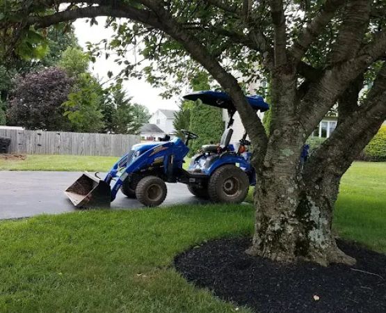 Phoenix Mobile Homes Inc