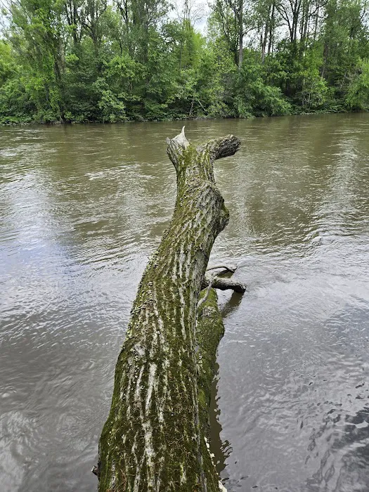 Fred J Doberstein Overlook Campground 1