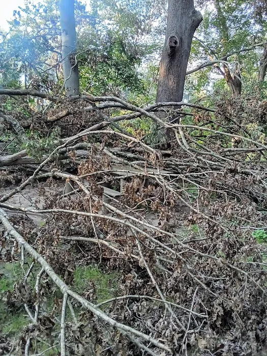 Fred J Doberstein Overlook Campground 4