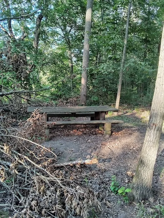 Fred J Doberstein Overlook Campground 2