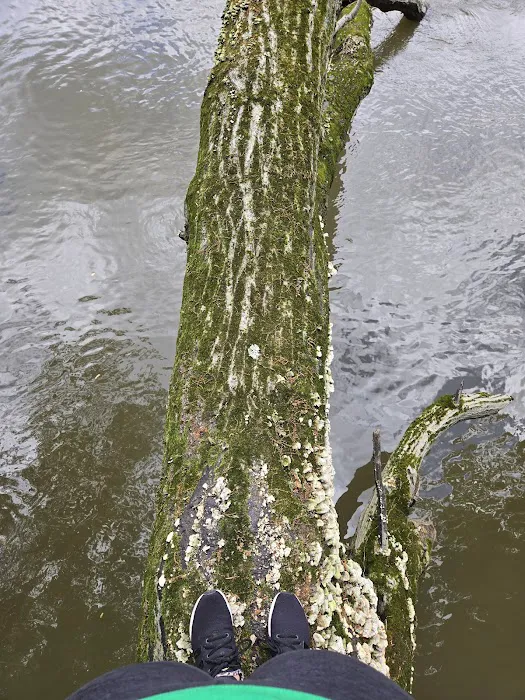Fred J Doberstein Overlook Campground 6