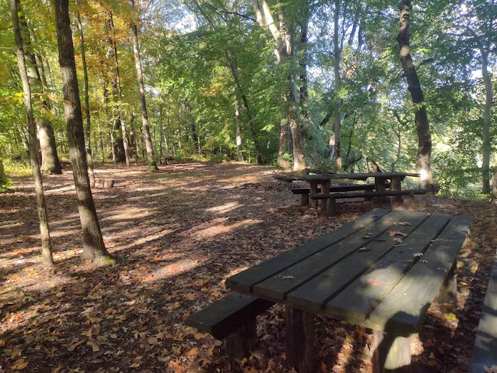 Fred J Doberstein Overlook Campground 8