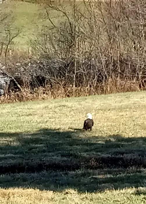 Sittler's Mobile Homes 8