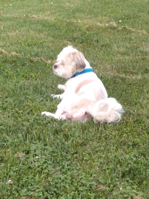 Sittler's Mobile Homes 9