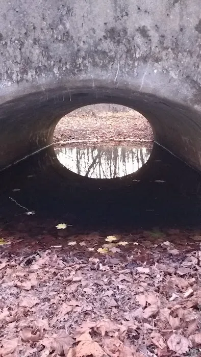 Kutztown Campground New Dutch 4