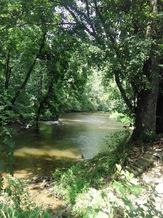 Saucony Family Campground 4