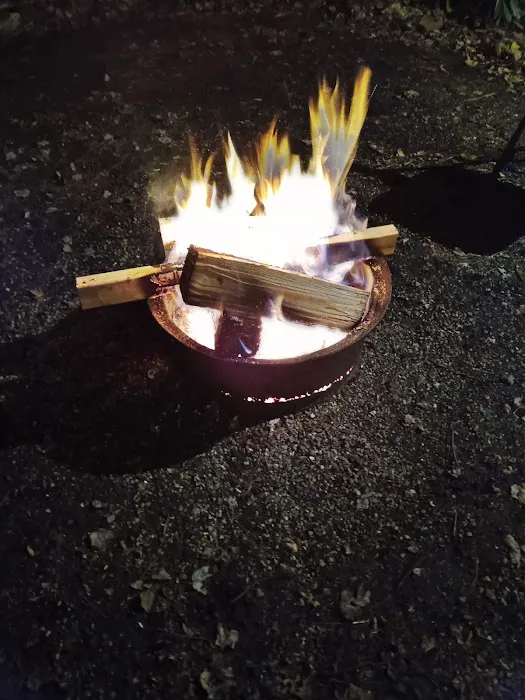 Laurel Lake Campsites 4