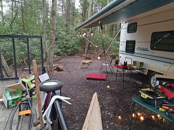 Laurel Lake Campsites 9