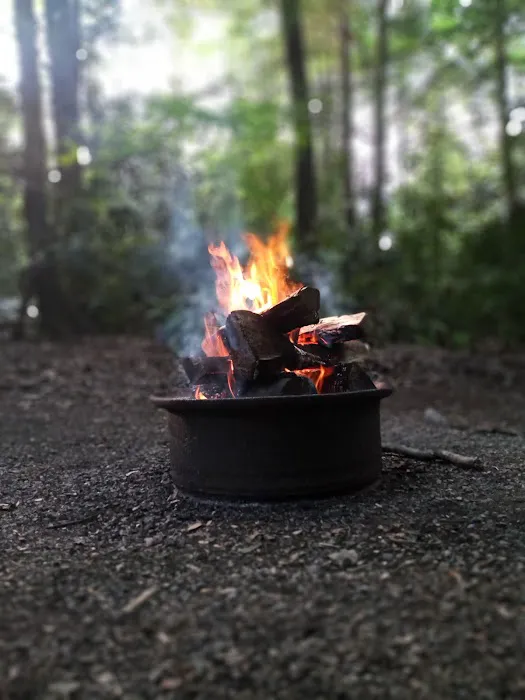 Laurel Lake Campsites 2