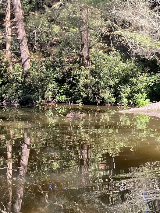 RoundStone Camping Resort 8