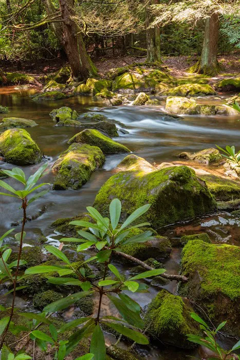 RoundStone Camping Resort 0