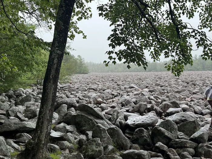 Hickory Run State Park Camping Area 2