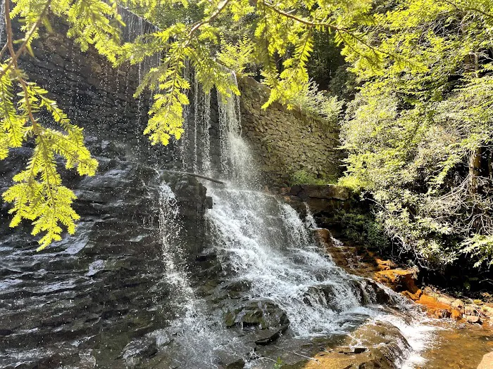 Hickory Run State Park Camping Area 6