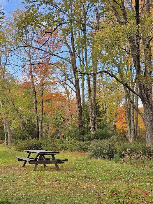 Hickory Run State Park Camping Area 7