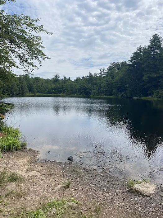 Hickory Run State Park Camping Area 4