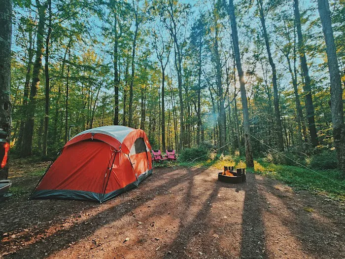 Hickory Run State Park Camping Area 1