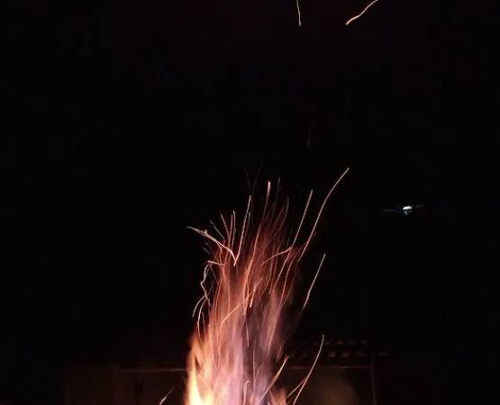 Hickory Run State Park Camping Area