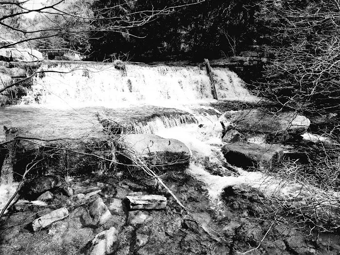 Organized Group Tent Camping at Hickory Run State Park 9