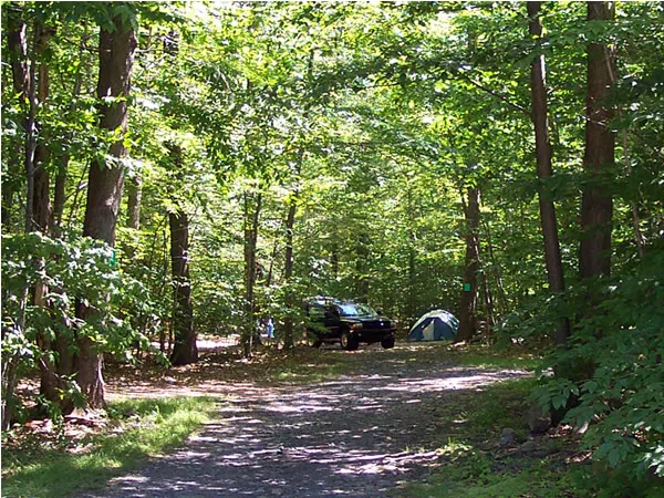 Lehigh Gorge Campground 0