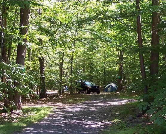 Lehigh Gorge Campground