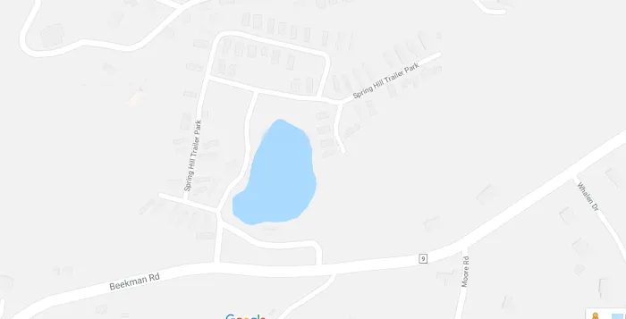 Spring Hill Park LLC 1