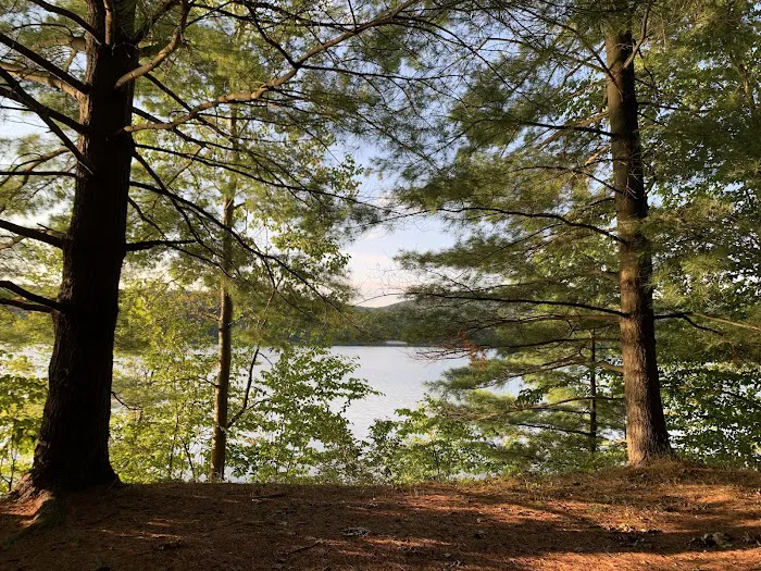 Sylvan Lake Beach Park Inc 9