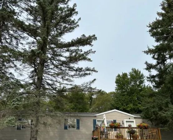 Lakeview Terrace Mobile Home Park