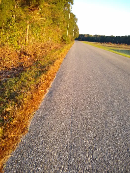 Alpine Village Inc 1