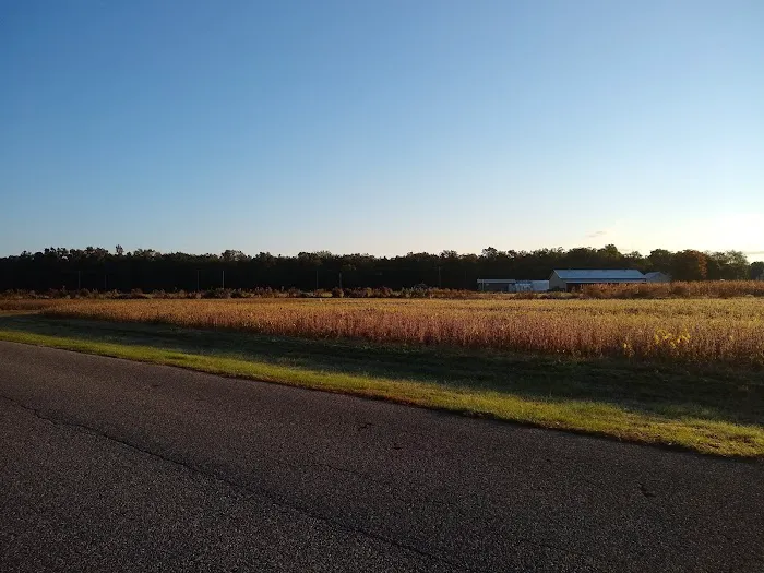 Alpine Village Inc 0