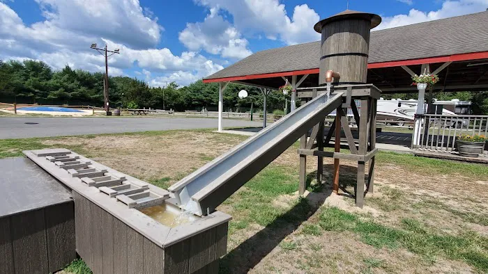 Spacious Skies Campgrounds - Country Oaks 8