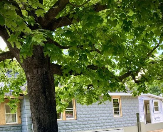 Candlewood Mobile Homes