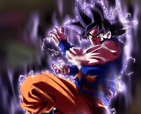 Stoney Field Estates MHP