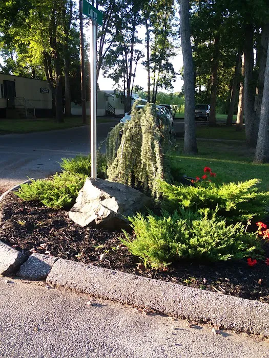 Little Flower Estates 6