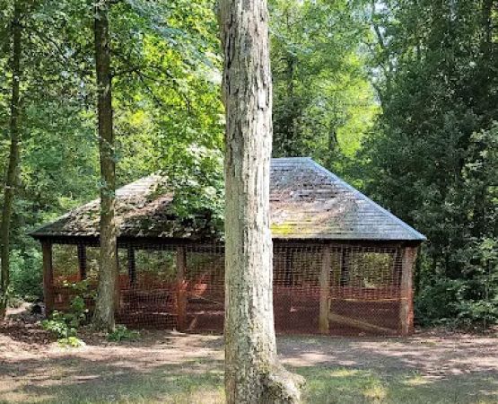 Parvin group camp parking