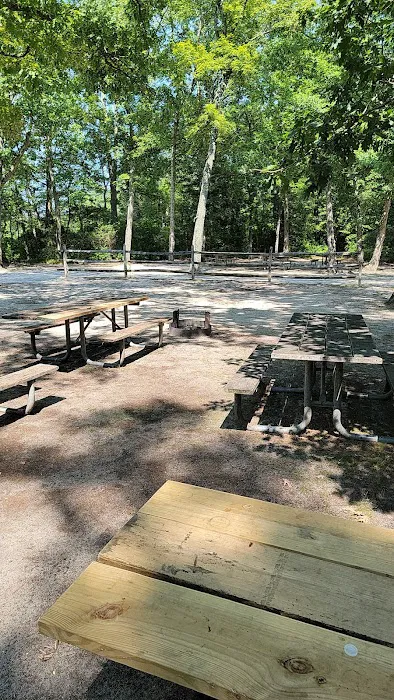 Parvin group camp parking 8