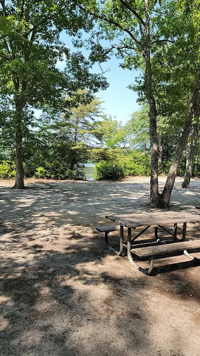 Parvin group camp parking 1