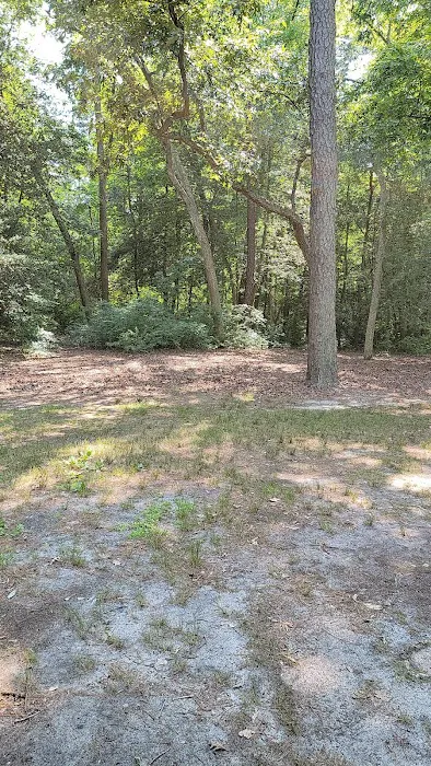 Parvin group camp parking 5