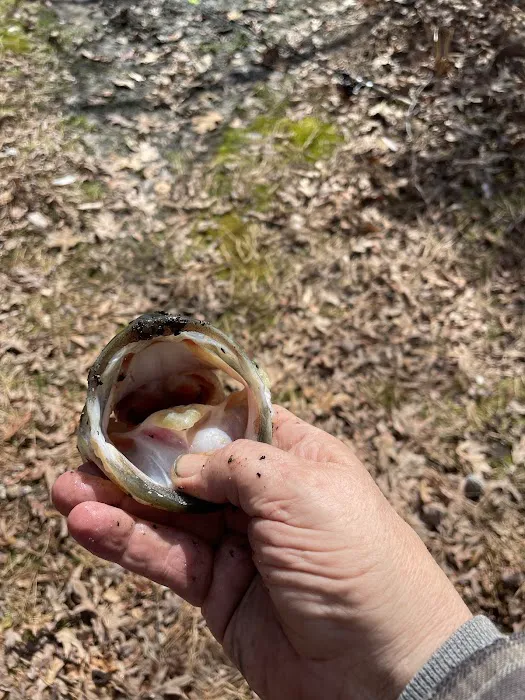 Parvin group camp parking 2